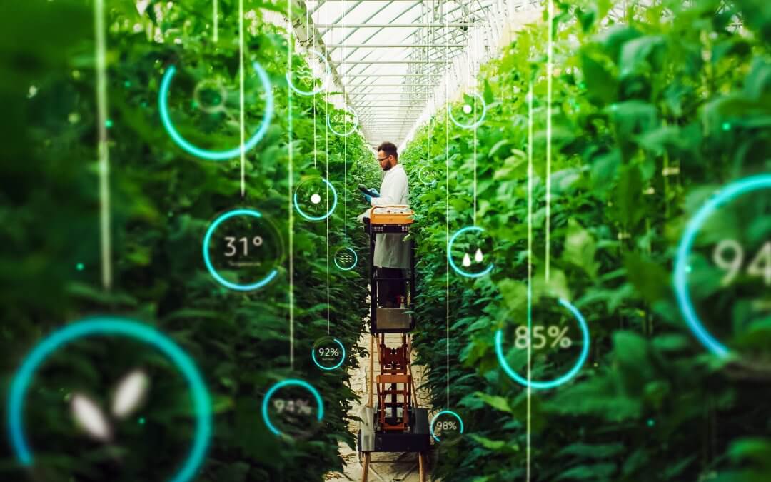 A importância dos geradores no agronegócio: garantia de eficiência e continuidade operacional